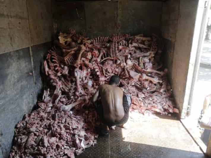 Brezilya'da üzücü tablo: Hayvan ölüleri arasında yemek aradılar!