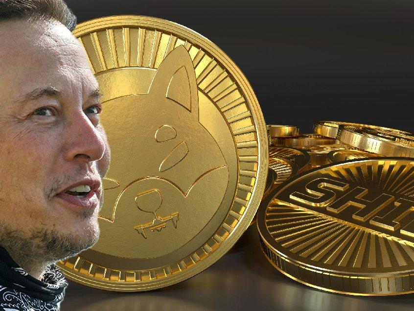 Elon Musk paylaşım yaptı, SHIB adlı kripto para rekor kırdı