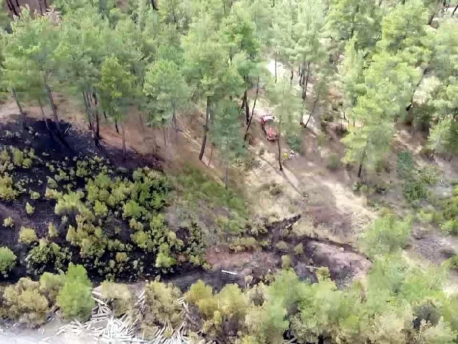 Kütahya'daki orman yangınında 4 hektar alan zarar gördü