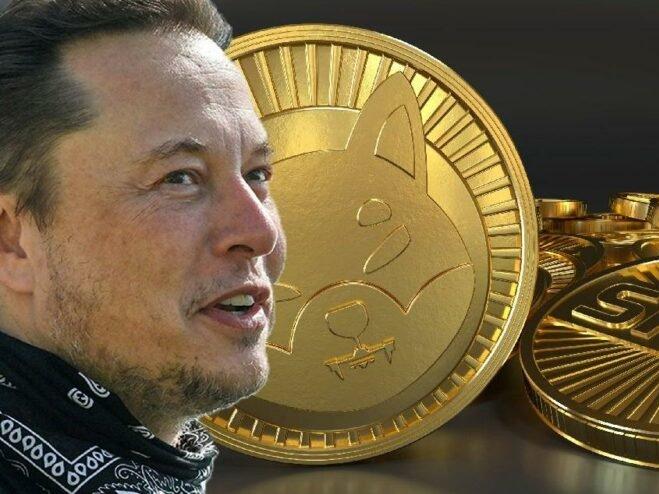 Elon Musk'ın köpeğinden esinlenmişti: Kripto para Shiba Inu rekor kırıyor