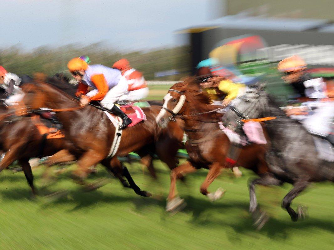 Japonya’daki yarış atı spikere zor anlar yaşattı