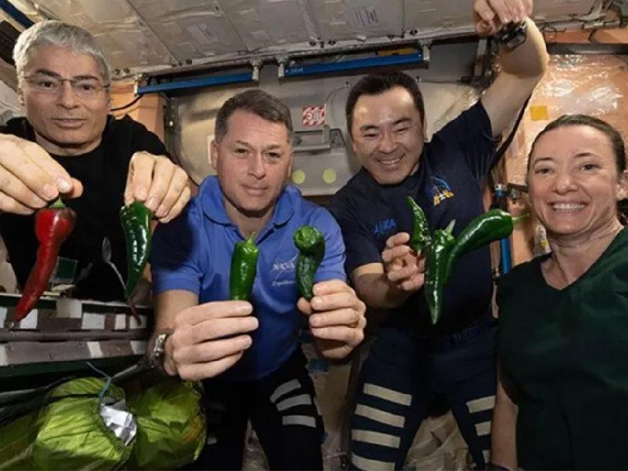 SpaceX'in kapsülünde tuvalet arızası: Astronotlar bez bağlayacak