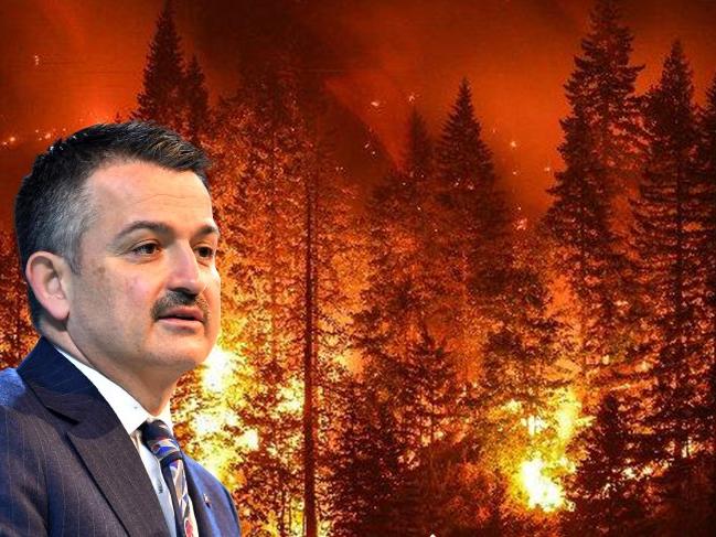 142 bin hektar orman yandı, 'Tarihi başarı' dedi