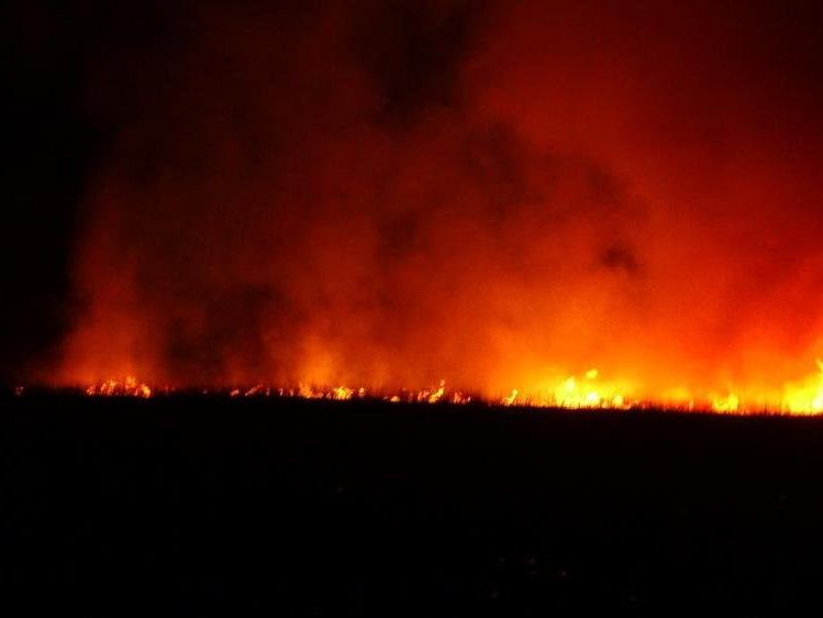 Yüksekova’daki sazlık yangını devam ediyor