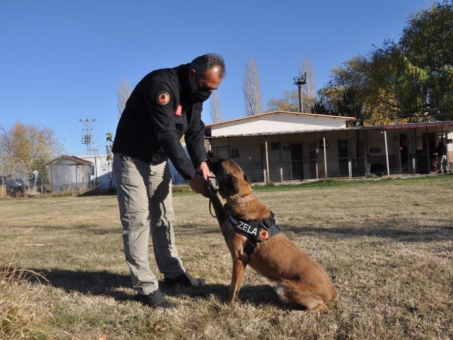 ‘Zela’ isimli köpek emekliliğe ayrıldı