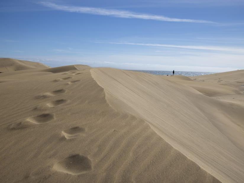 'Sahildeki erozyonun sebebi seks yapan turistler'