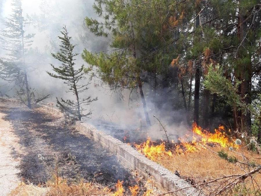 Orman yangınları araştırılsın önerisini AKP ve MHP reddetti