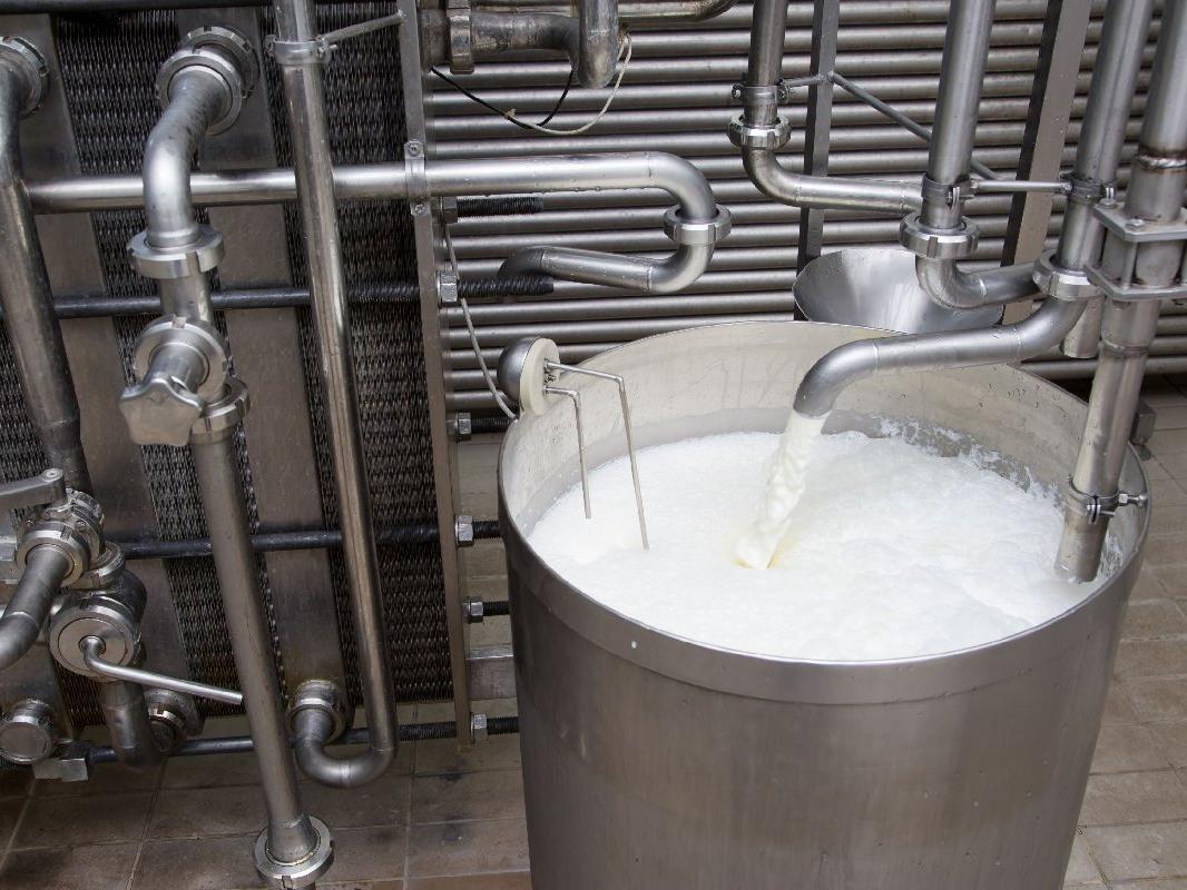 Süt üreticilerinden fiyat tepkisi: Böyle giderse kasaba gidişler hızlanacak