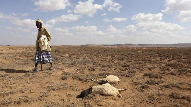 Doğu Afrika'da kuraklık artıyor: 26 milyon insan tehlike altında