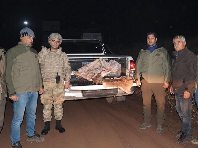 Yabani dağ keçisini vuran kişiye 63 bin TL ceza kesildi