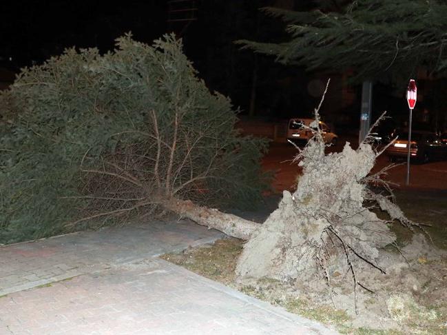 Kayseri'de şiddetli rüzgar etkili oldu