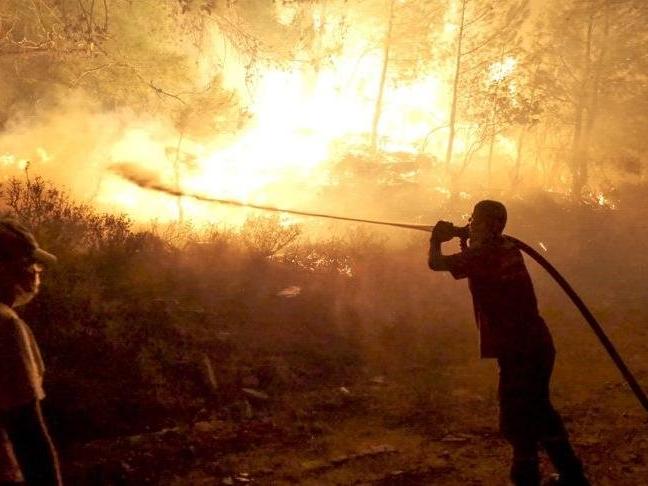 Türkiye'deki orman yangınları: Rekor düzeyde emisyon üretildi