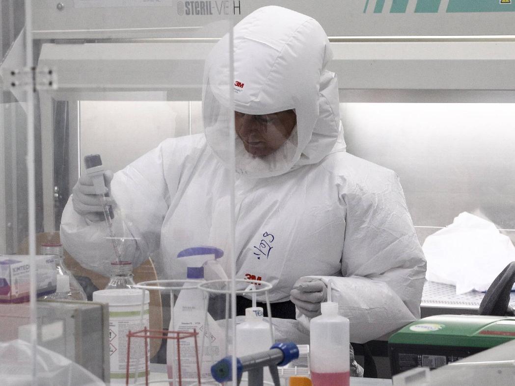 Laboratuvarda fare bilim insanını ısırdı: Covid-19 testi pozitif çıktı