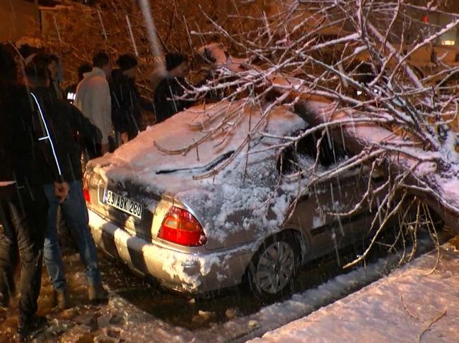 Karın ağırlığına dayanamayan ağaç, otomobilin üzerine devrildi