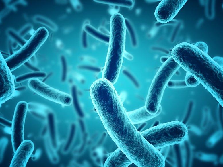 Cinsel yolla bulaşan hastalık ortaya çıktı: Antibiyotiğe dayanıklı bakteri paniği yaşanıyor