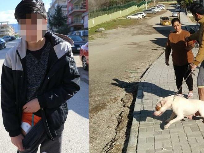 13 yaşındaki çocuğa saldıran pitbullun sahibine 12 bin lira ceza