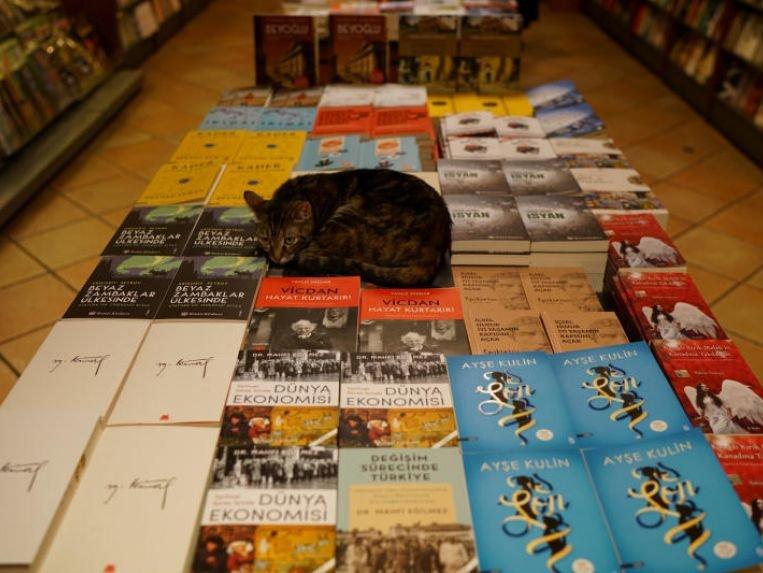 AFP: Türkiye'deki kriz, kitapları lükse dönüştürdü