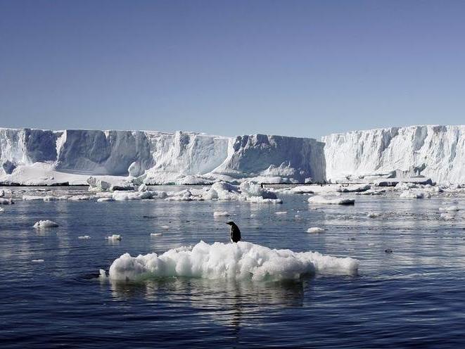 Antarktika'da beklenmedik keşif: Yaşam formları bulundu