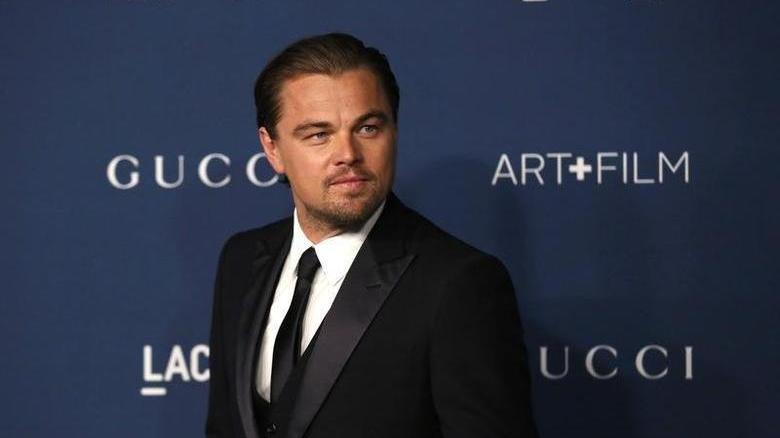 Leonardo DiCaprio destekli hayır kurumu İngiltere'den 28 bin sterlin alıyor