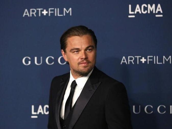 Leonardo DiCaprio destekli hayır kurumu İngiltere'den 28 bin sterlin alıyor