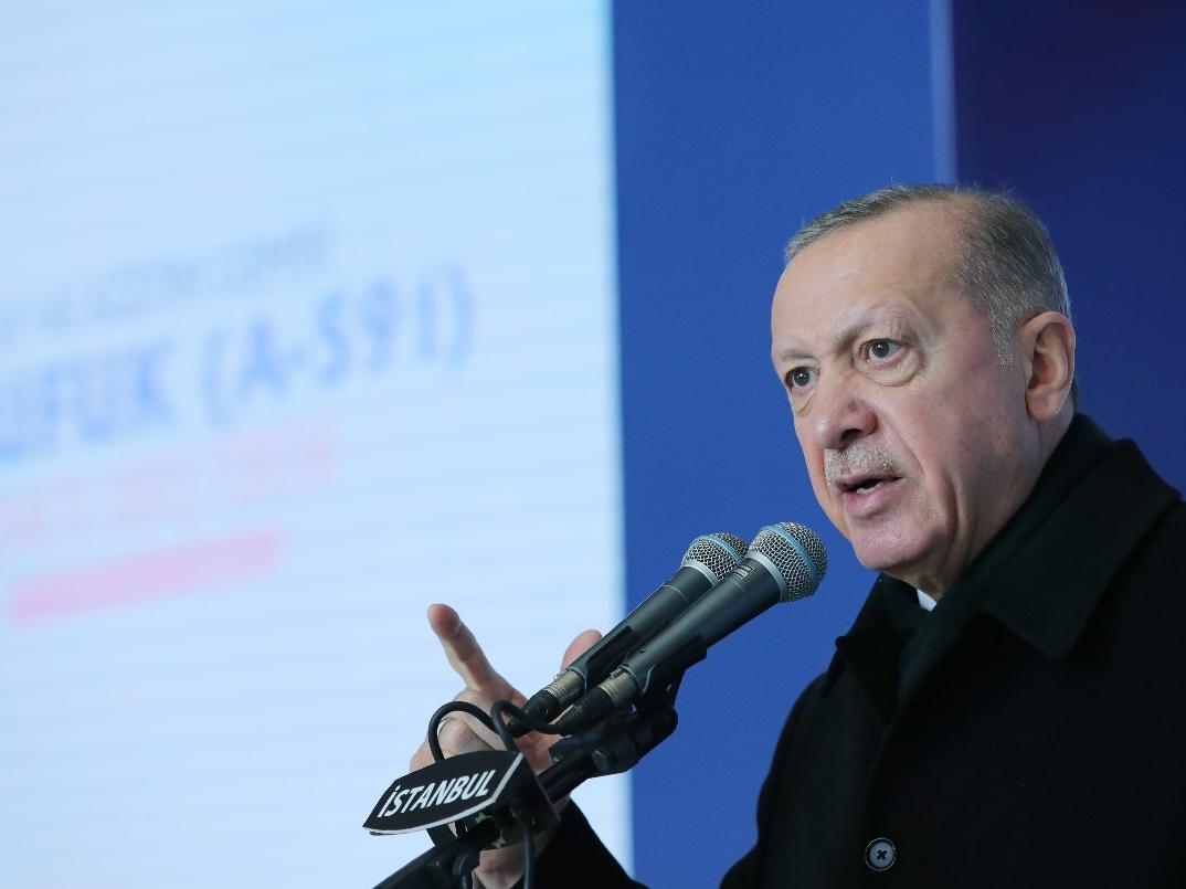 Cumhurbaşkanı Erdoğan'a yönelik 'hakaret' soruşturması 160 bini geçti