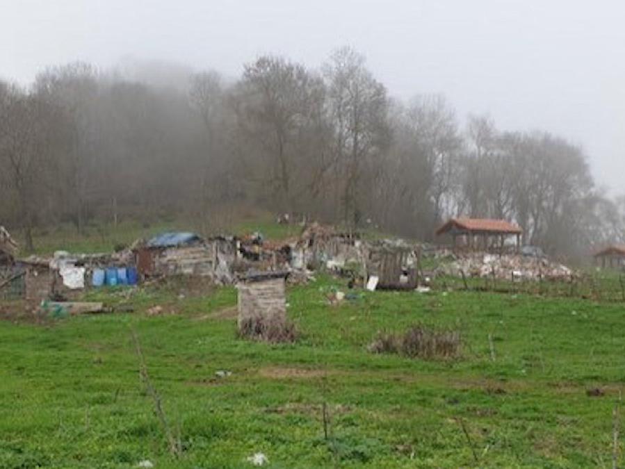 Longoz ormanlarındaki 130 kaçak yapı yıkıldı
