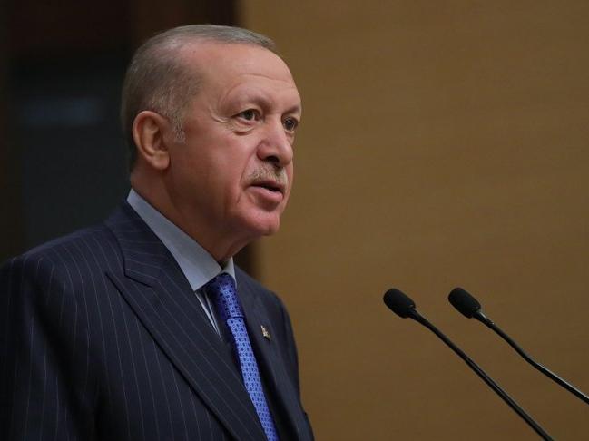 Cumhurbaşkanı Erdoğan uyardı: Türkçemiz için tam bir felaket habercisi