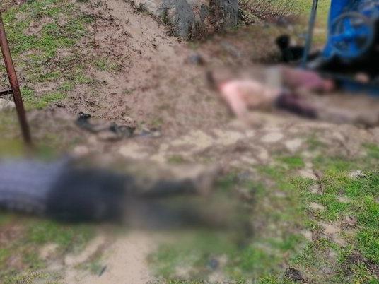 Edirne sınırında facia: 12 kişi donarak öldü