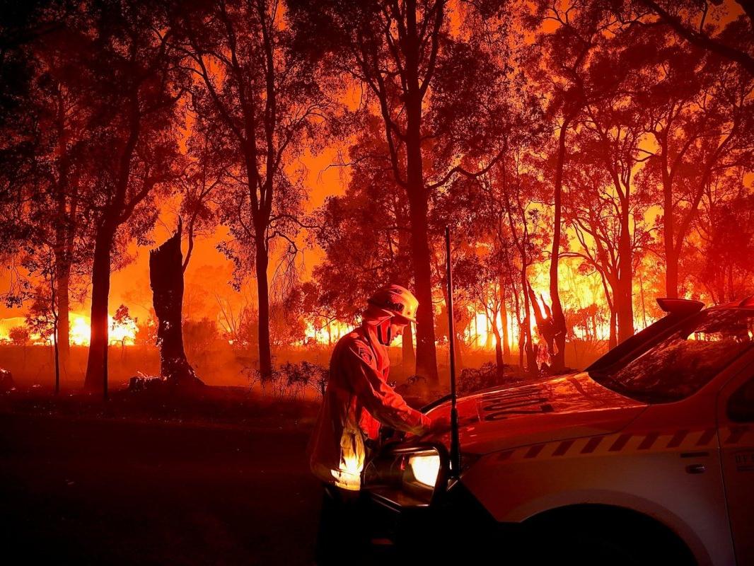 Avustralya'da orman yangını: 60 bin hektar alan küle döndü