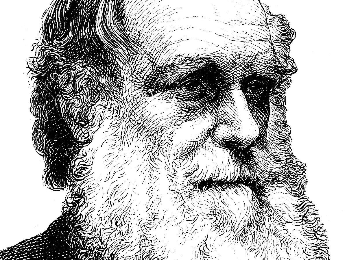 Charles Darwin, Scot'un evrimle ilgili çalışmasını çaldı iddiası: Tarihin en büyük sahtekarlığı
