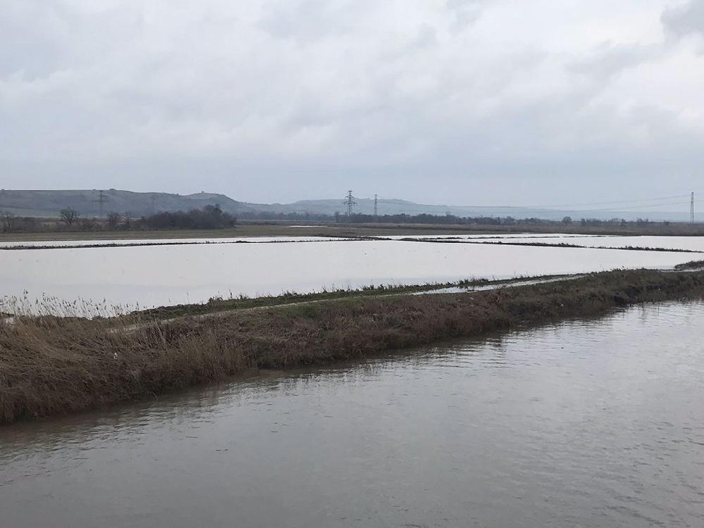 Nehir taştı! Binlerce dönüm tarım arazisi sular altında