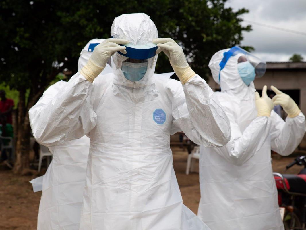 Çarpıcı araştırma: Ebola virüsü beyinde saklanıyor, yıllar sonra öldürüyor