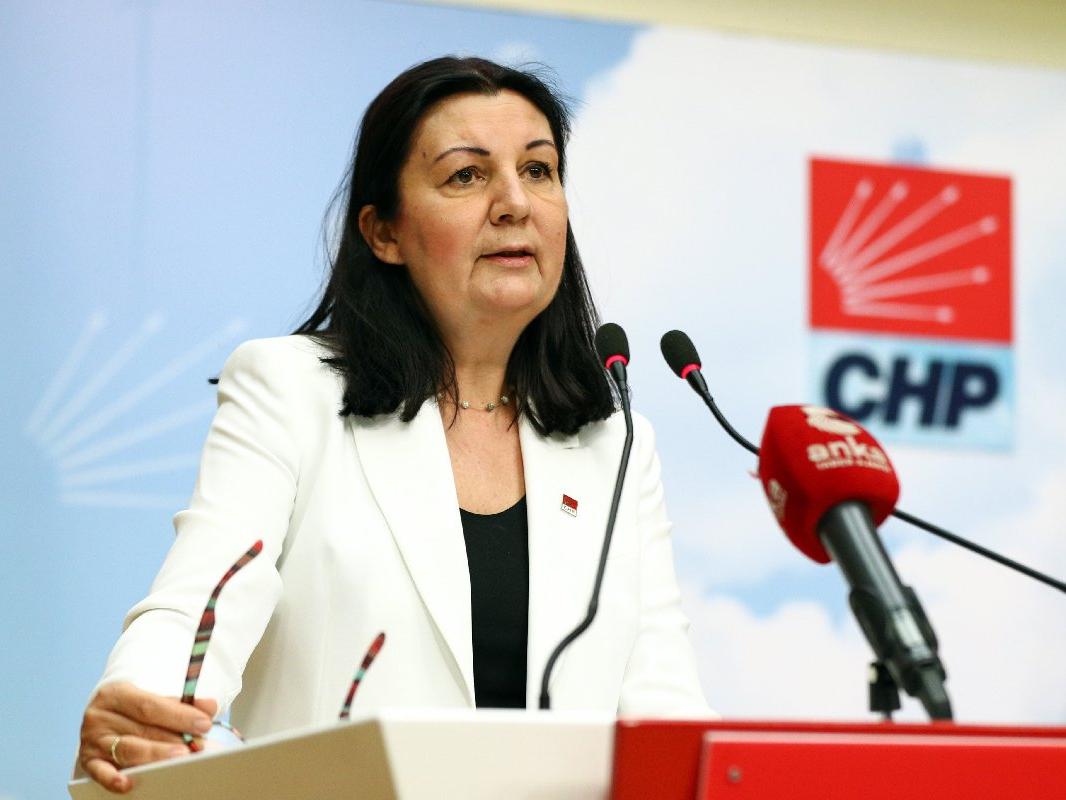 CHP Milletvekili Lale Karabıyık: Eğitim sistemimizin sorunu baraj değil niteliktir