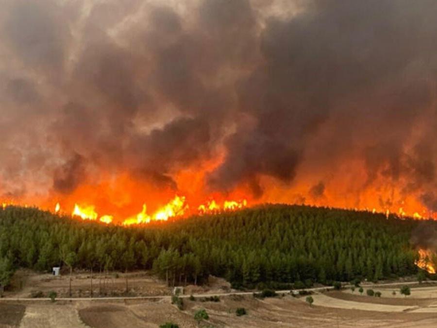 Birleşmiş Milletler: 25 yıl içinde orman yangınları ciddi ölçüde artacak