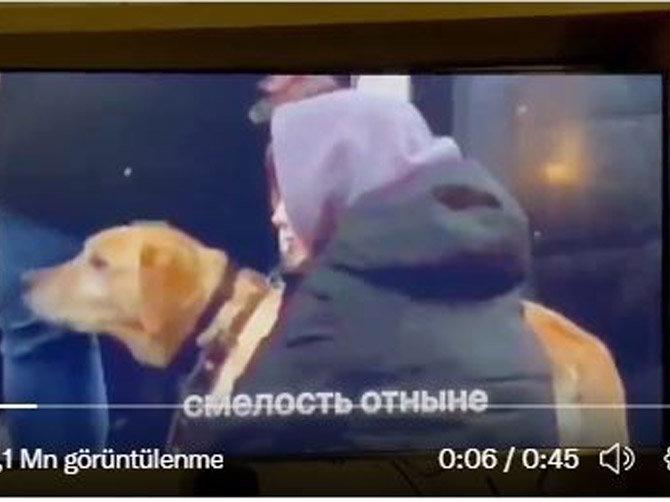Anonymous, Rus TV'leri hackledi, 'Ukrayna’daki gerçekler'i yayınladı