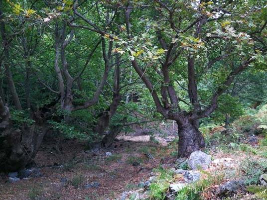 Maden sahasındaki kaynak suları 'Mutlak Koruma Alanı' ilan edildi