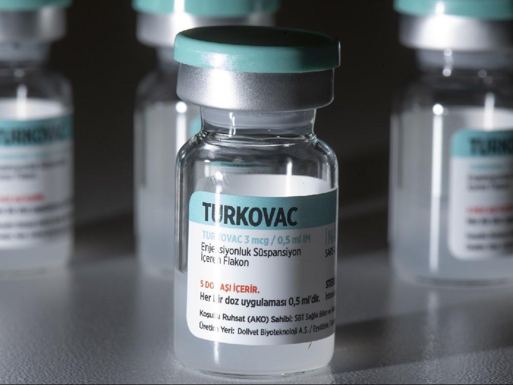 Turkovac aşısı bilim dünyasını ikiye böldü