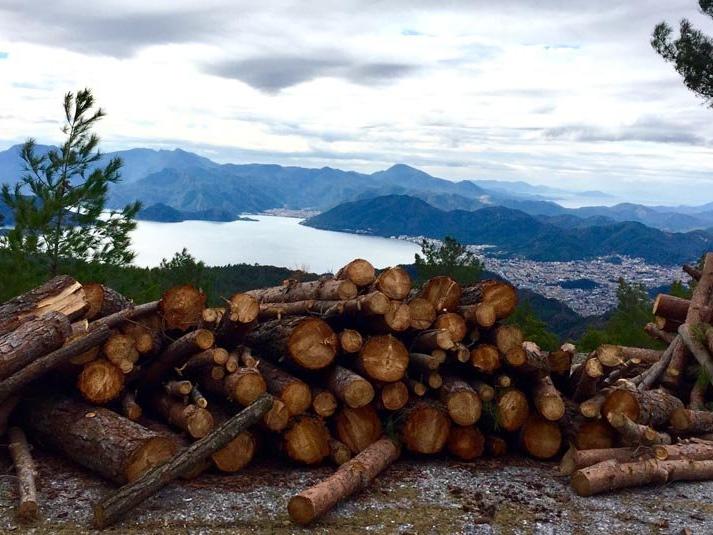 Türkiye Ormancılar Derneği: Aşırı odun üretimi ormanlarımızın geleceğini tehdit ediyor