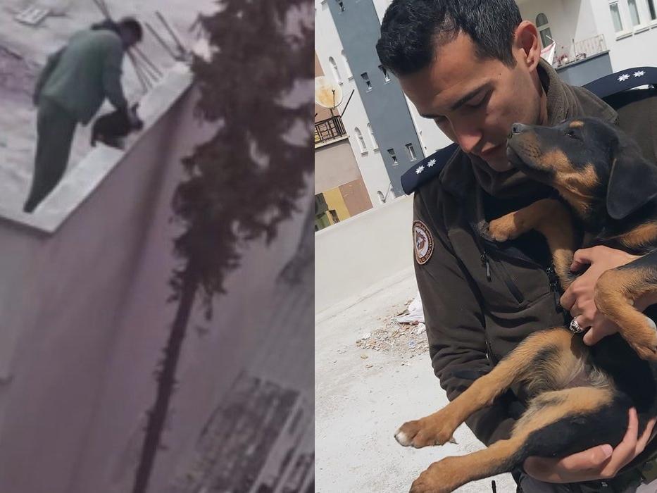 Mersin'de şiddet gören köpeği polisler sahiplendi