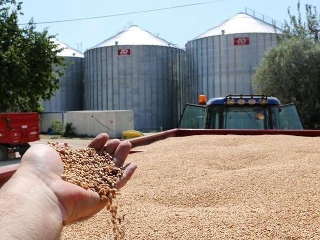 TMO'dan 300 bin tonluk mısır ithalatı