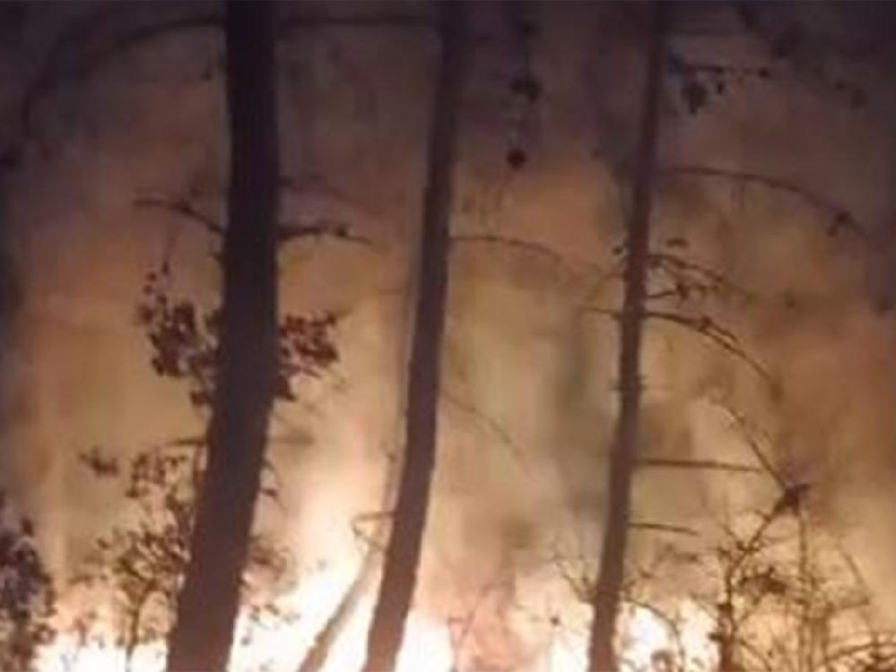 Tekirdağ'da korkutan orman yangını
