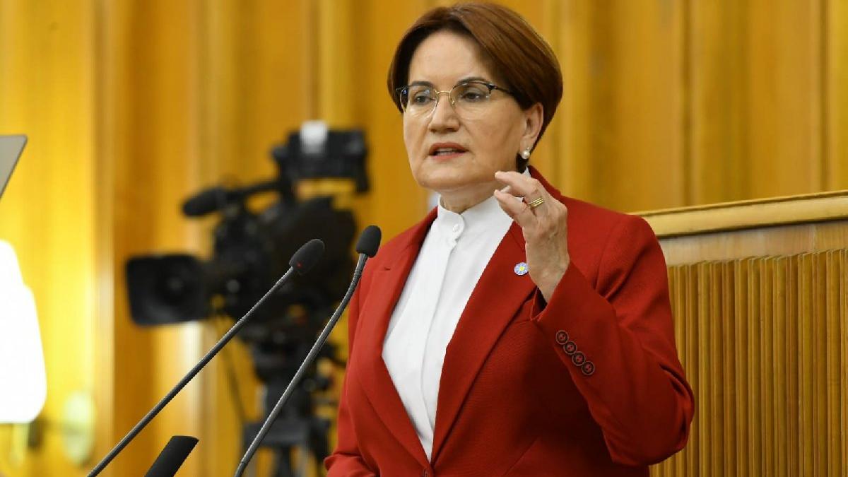 Meral Akşener'den Erdoğan'a: Herşeyoloji' profesörü