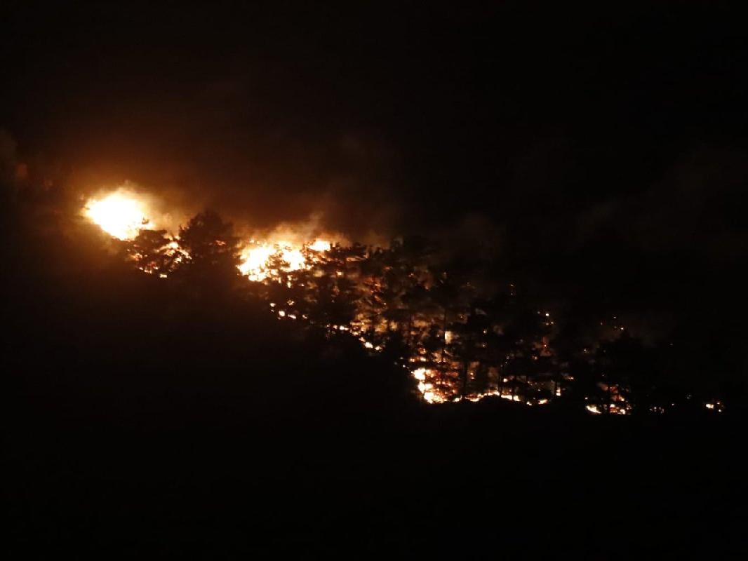 Çanakkale'deki yangın lodosun etkisiyle ormana yayıldı