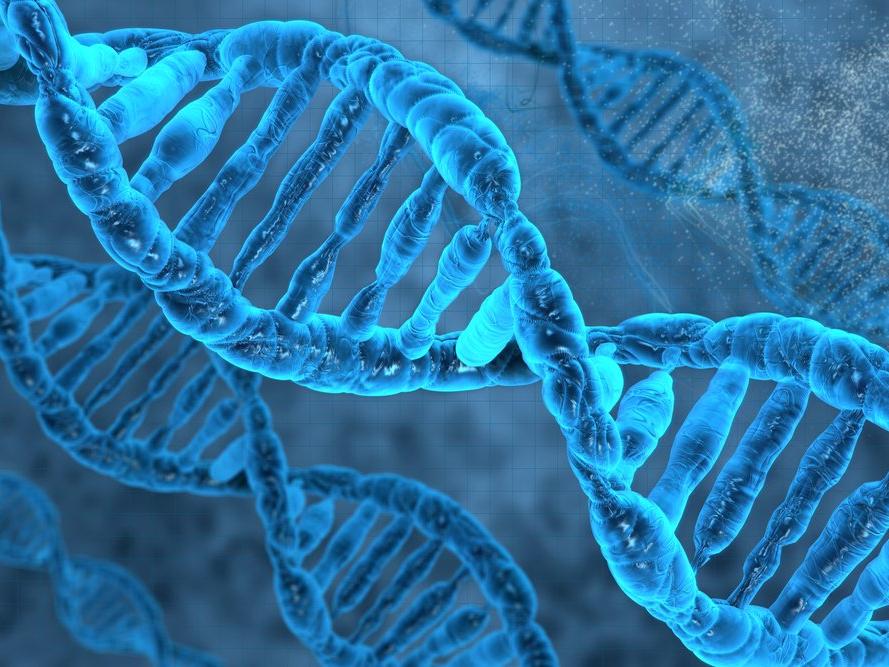 İlk defa insan genom dizisinin tamamı yayınlandı