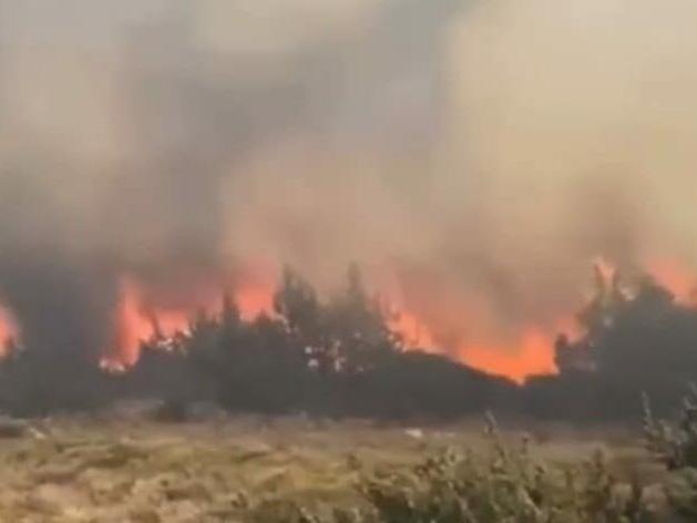 Ünlü tatil merkezi Çeşme'de yangın başladı