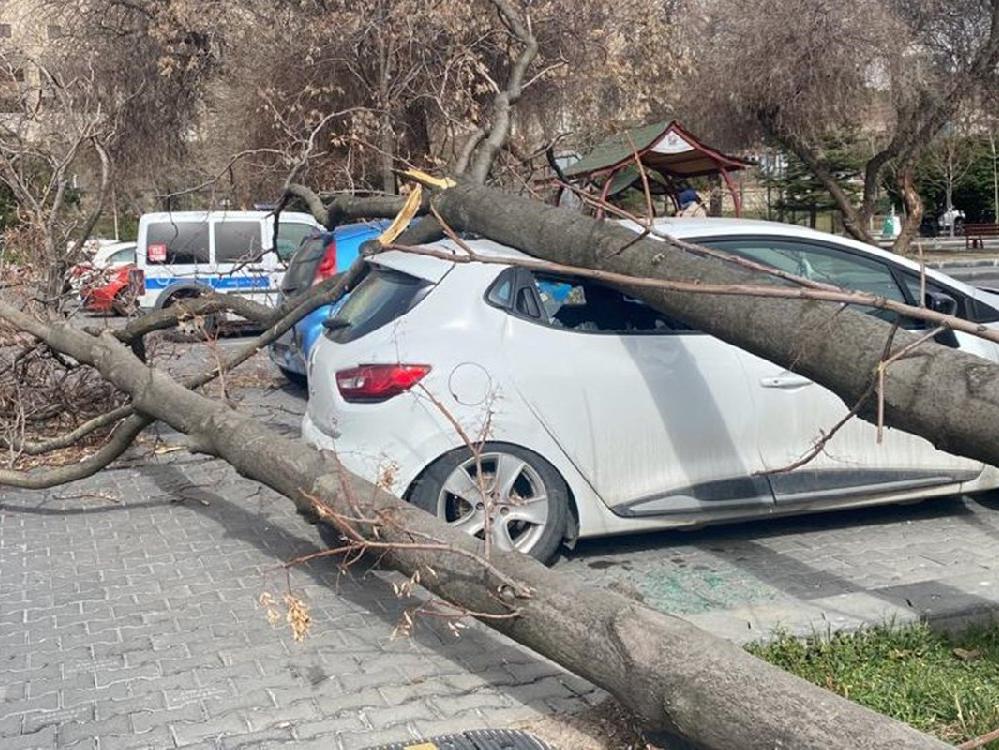 Ankara'da kuvvetli rüzgar! Ağaçlar araçların üzerine devrildi