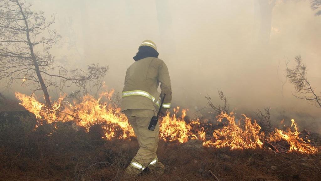 Taşeronun cebi dolacak: Tecrübesiz yangın söndürme işçisi