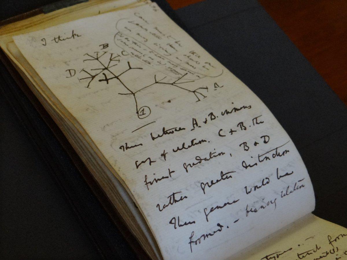 Darwin'in kayıp not defterleri, 22 yıl sonra gizemli bir şekilde bulundu