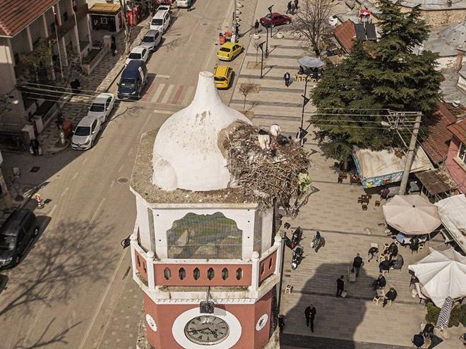 Yenişehir'in saat kulesi bu bahar da leylek çifti ağırlıyor