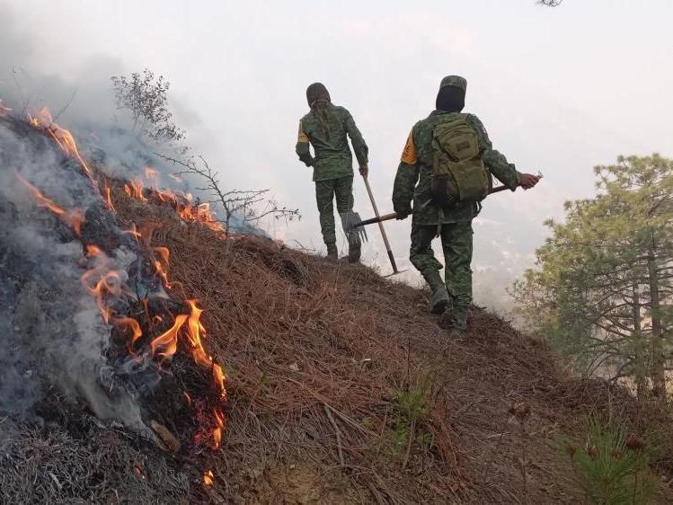 Meksika, 71 orman yangınıyla mücadele ediyor